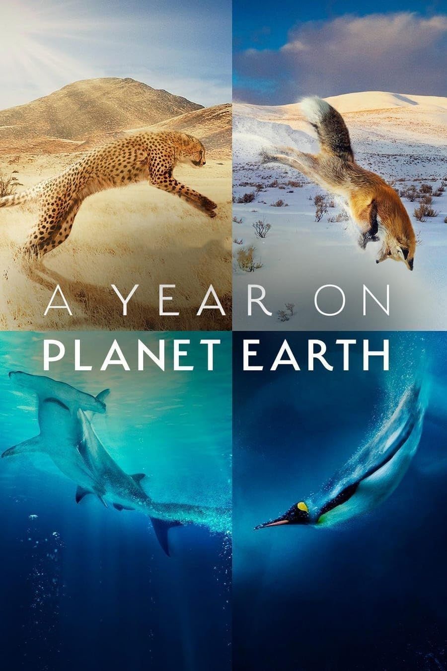 A Year on Planet Earth (Season1) 2022 Hindi Dubbed HDRip download full movie