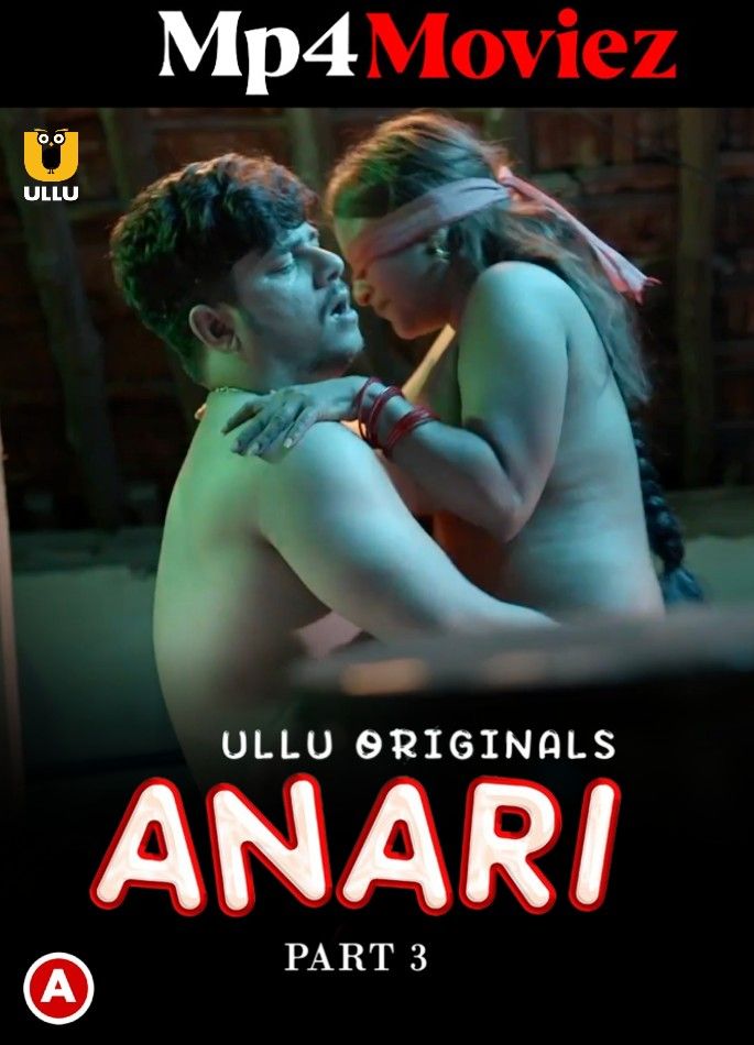 Anari Part 3 (2023) S01 Hindi Web Series HDRip download full movie
