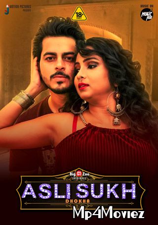 Asli Sukh Dhokha (2021) S01 Complete Hindi BigMovieZoo Web Series download full movie