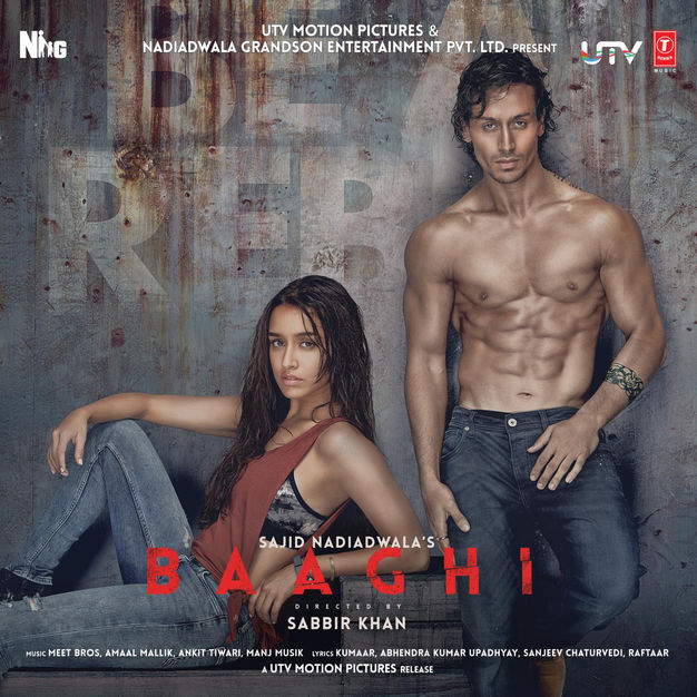 Baaghi 2016 Full Movie download full movie