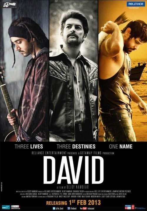 David (2013) Hindi HDRip download full movie