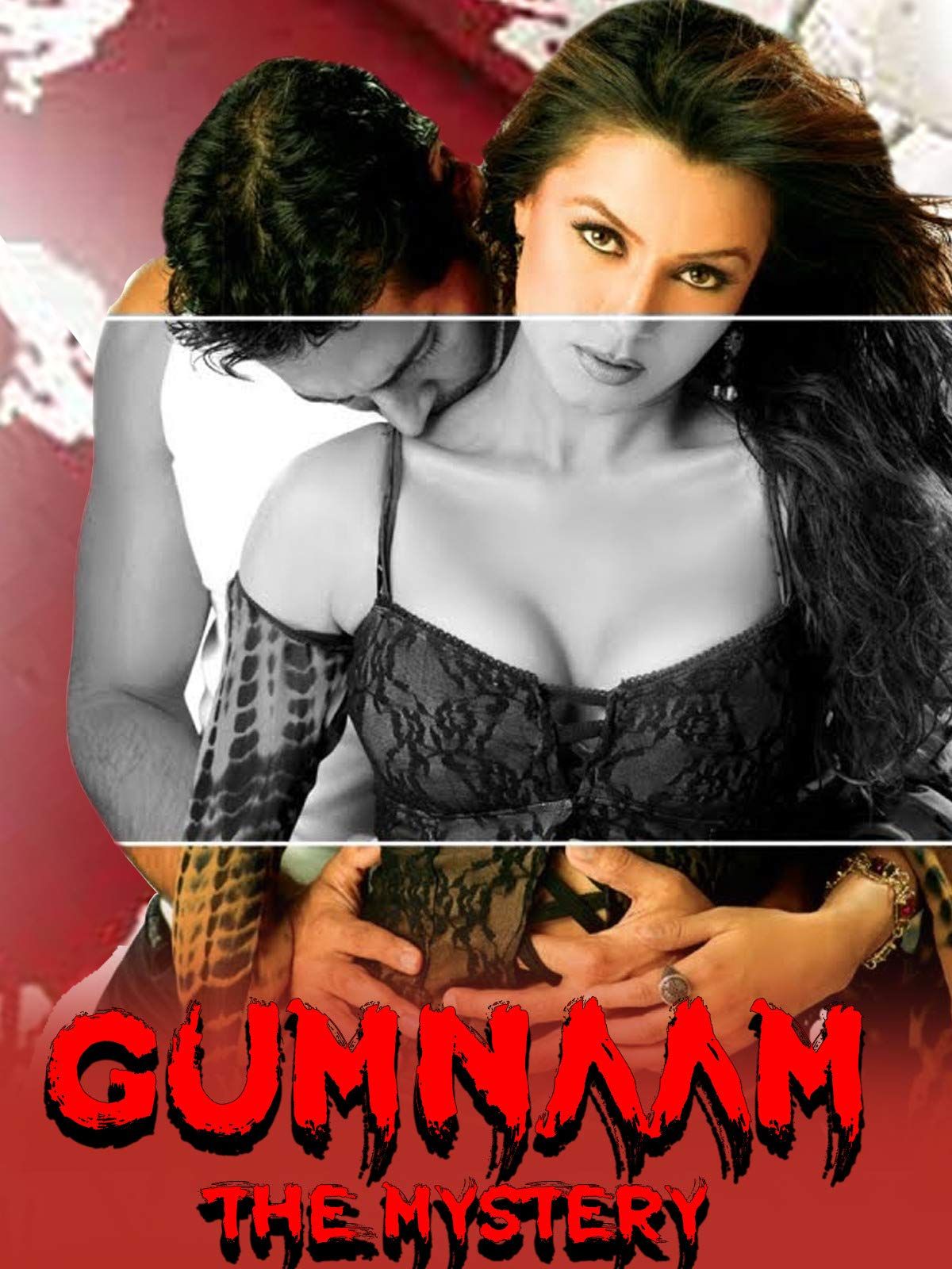 Gumnaam The Mystery (2008) Hindi HDRip download full movie