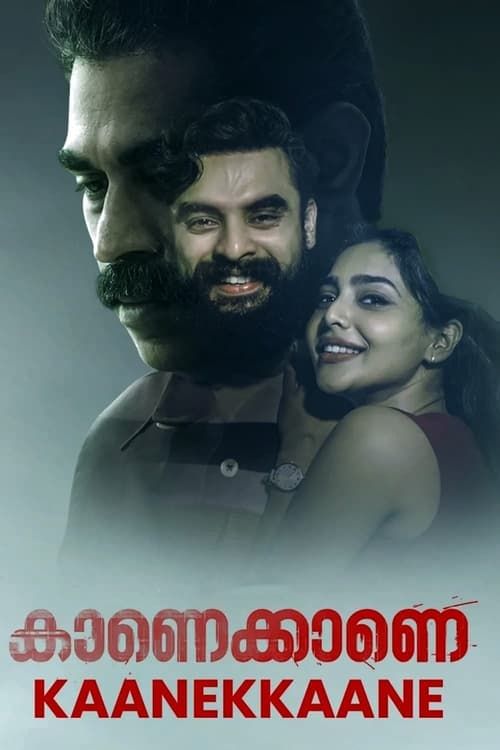 Kaanekkaane (2021) Hindi HQ Dubbed HDRip download full movie