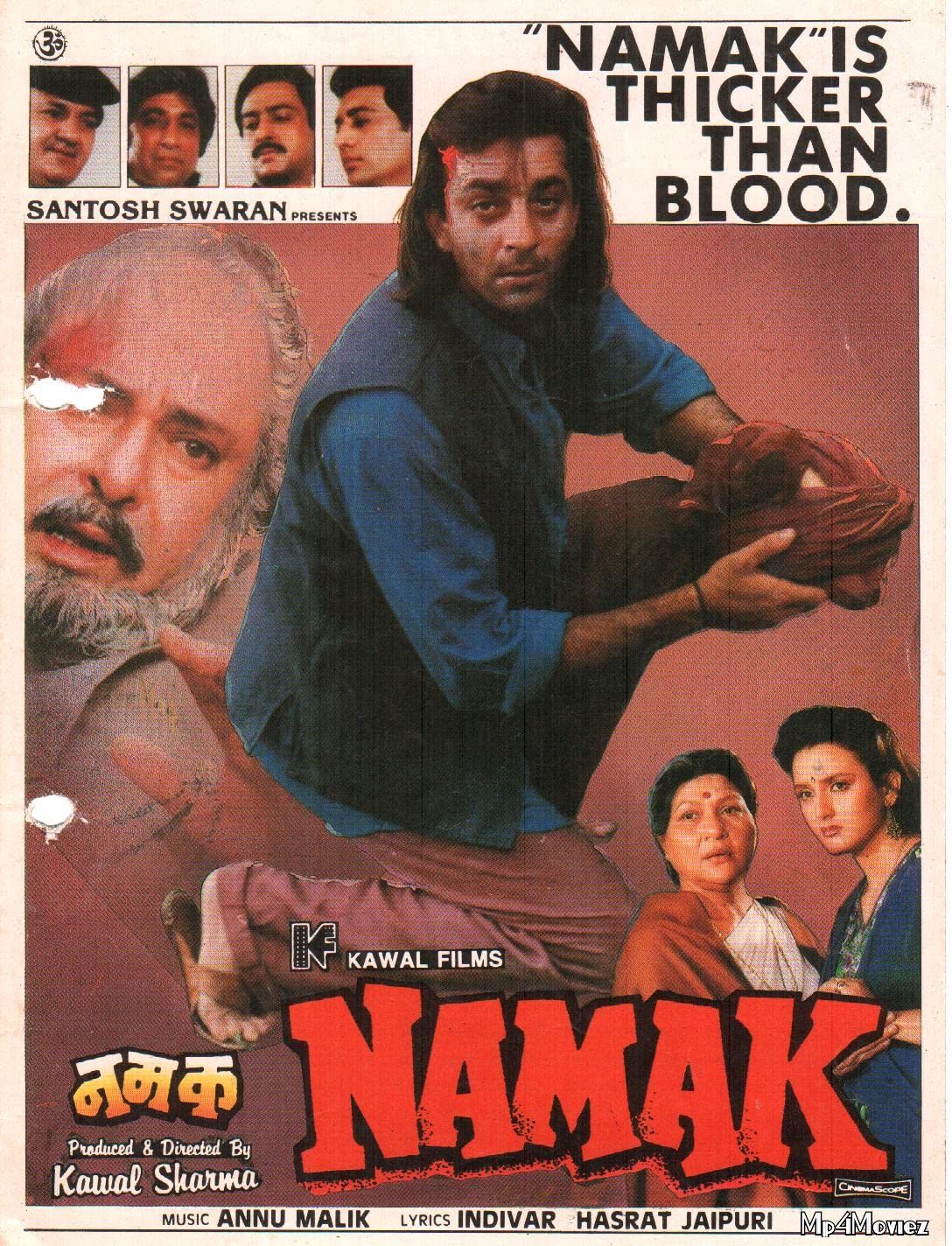 Namak (1996) Hindi Movie HDRip download full movie