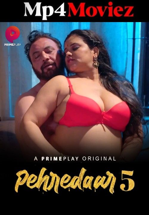 Pehredaar (2023) S05 Part 2 Hindi PrimePlay Web Series download full movie