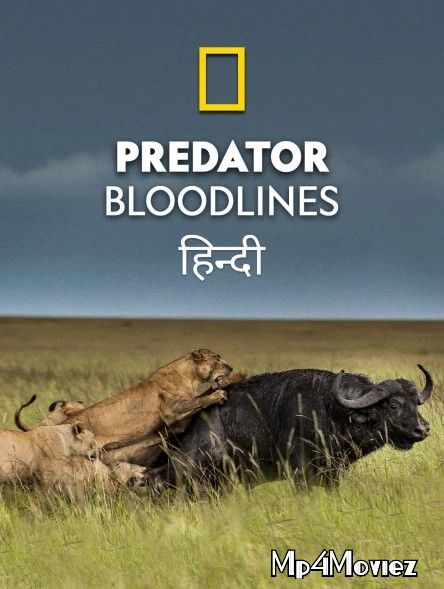 Predator Bloodlines (2021) S01 Hindi Dubbed Complete Series HDRip download full movie