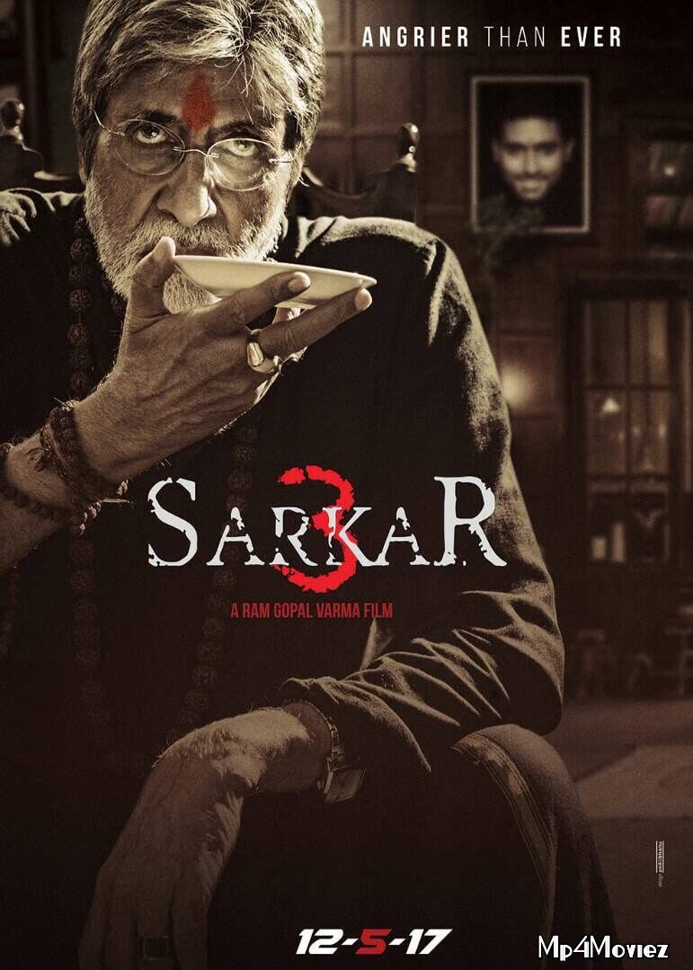 Sarkar 3 (2017) Hindi HDRip download full movie