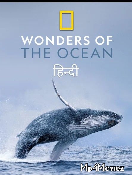 Wonders of the Ocean (2021) S01 Complete Hindi Dubbed HDRip download full movie
