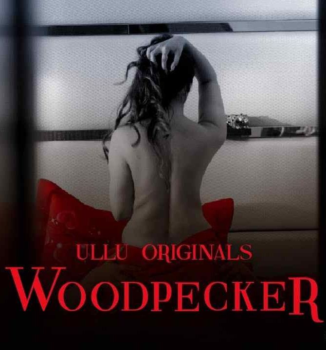 Woodpecker Part: 1 (2020) S01 Hindi Complete Web Series HDRip download full movie