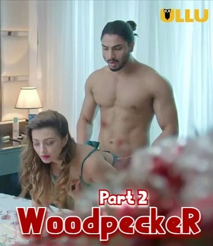 Woodpecker Part: 2 (2021) S01 Hindi Complete Web Series HDRip download full movie