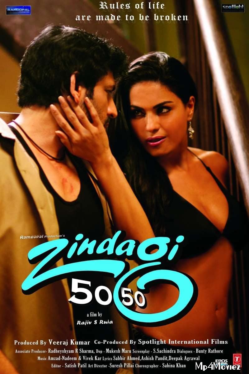 Zindagi 50 50 (2013) Hindi HDRip download full movie